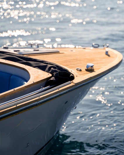 Group tour esclusivo: l'Isola del Garda e Gardone Riviera da Sirmione 11